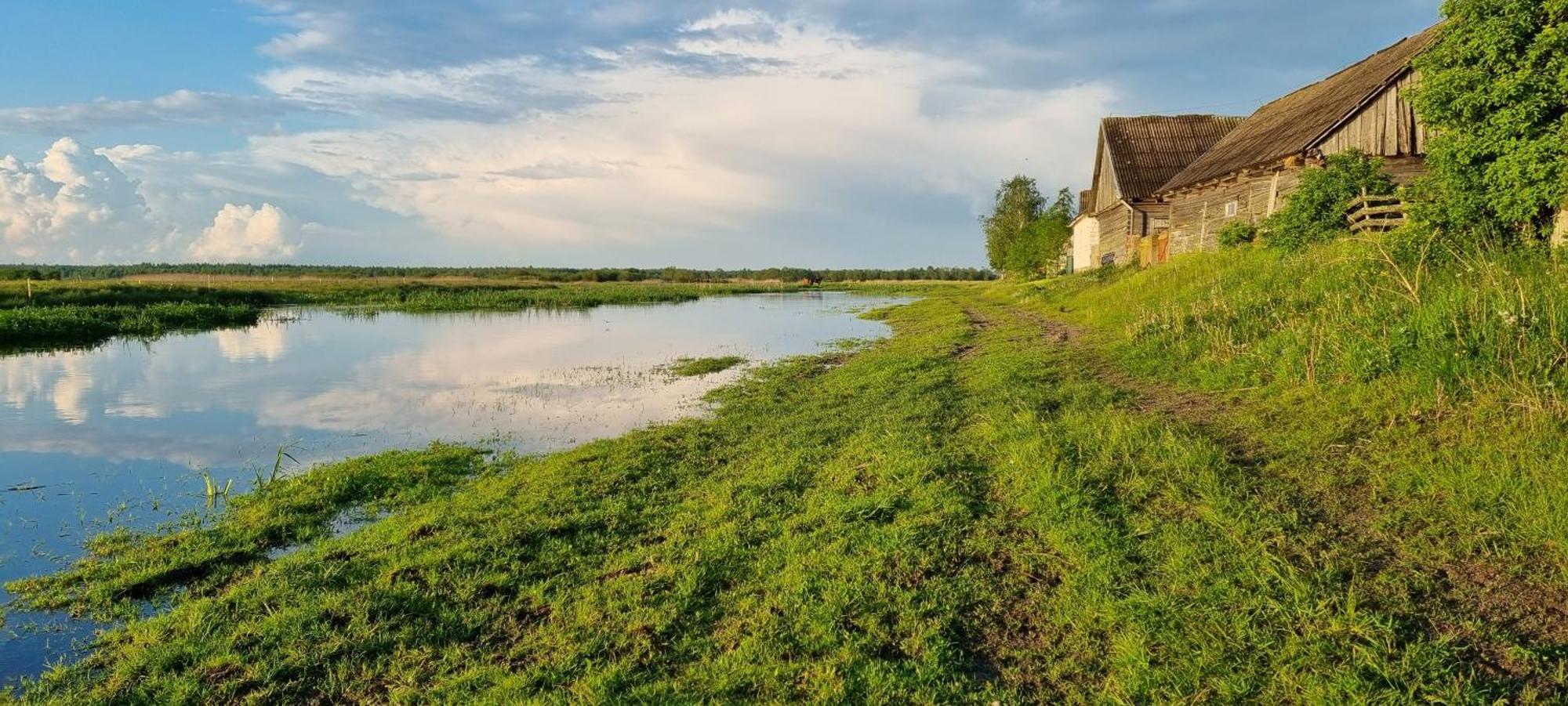 Filipowka Holiday home